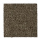 Stylish Trend - Nutmeg