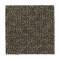 Stylish Tones - Sequoia