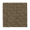 Stylish Tones - Desert Accents
