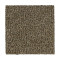 Stylish Tones - Nutmeg