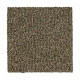 Stylish Tones - Nutmeg Stylish Tones - Nutmeg