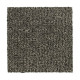 Stylish Tones - Sea Lion Stylish Tones - Sea Lion