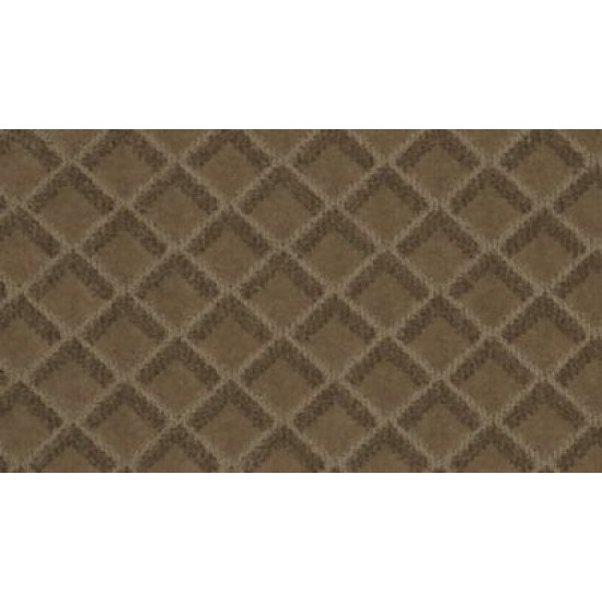 Graceful Appeal - Sonora Graceful Appeal - Sonora