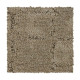 Elaborate Appeal - Haven Elaborate Appeal - Haven