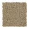 Soft Outlook - Quiet Beige