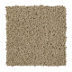 Soft Outlook - Quiet Beige Soft Outlook - Quiet Beige