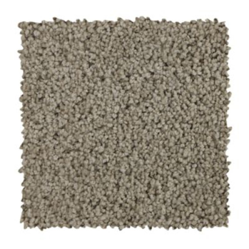 Soft Outlook - Taupe Whisper