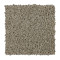 Soft Outlook - Taupe Whisper
