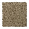 Soft Outlook - Neutral
