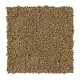 Soft Outlook - Artisan Hue Soft Outlook - Artisan Hue
