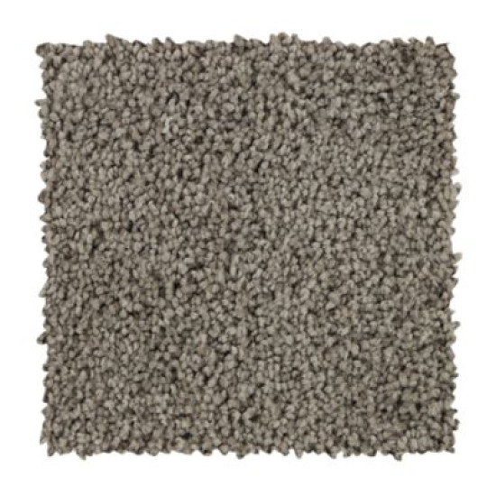 Soft Outlook - Greige Tint Soft Outlook - Greige Tint