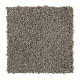 Soft Outlook - Greige Tint Soft Outlook - Greige Tint