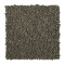 Soft Outlook - Moon Rock