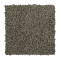 Soft Outlook - Urban Putty