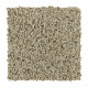Soft Aspect - Romano Soft Aspect - Romano