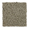 Soft Aspect - Fine Vellum