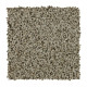 Soft Aspect - Fine Vellum Soft Aspect - Fine Vellum