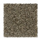 Graceful Harmony II - Brushwood