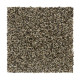Graceful Harmony II - Brushwood Graceful Harmony II - Brushwood