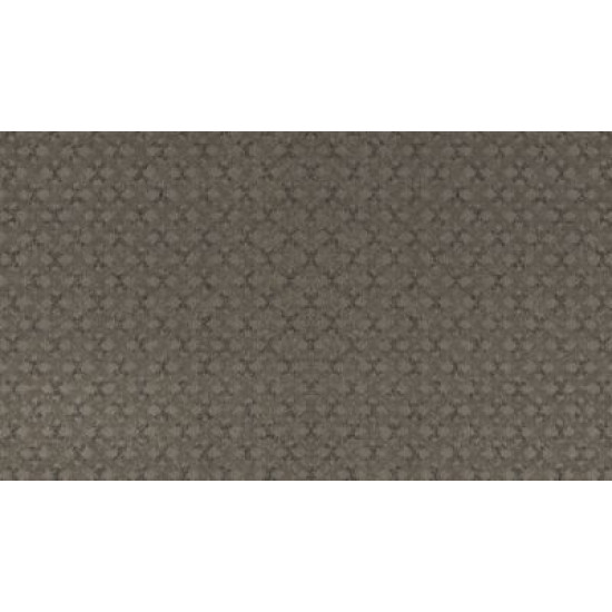 Opulent Details - 858 Opulent Details - 858