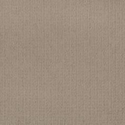 Enduring Statement - Dust Trail