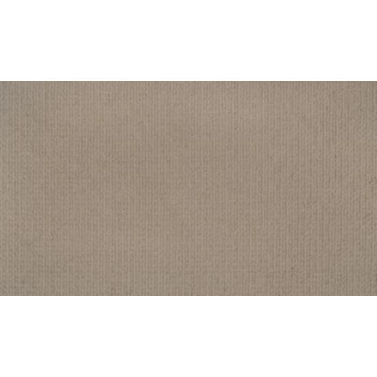 Enduring Statement - Dust Trail Enduring Statement - Dust Trail