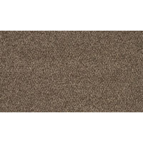 Sp941 - Salutation Sp941 - Salutation