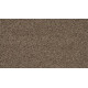 Sp941 - Salutation Sp941 - Salutation