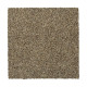 Colorful Blend III - Russet Colorful Blend III - Russet