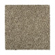 Colorful Blend III - Timber Colorful Blend III - Timber