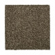 Colorful Blend III - Walnut Colorful Blend III - Walnut