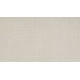 First Class II - Shell Tint First Class II - Shell Tint