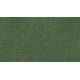 Gentle Path - Ranger Gentle Path - Ranger