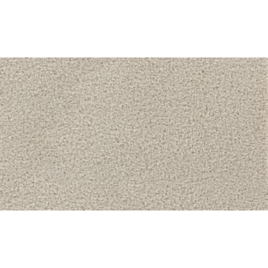 Gentle Path - Sea Shell Gentle Path - Sea Shell
