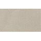 Gentle Path - Sea Shell Gentle Path - Sea Shell