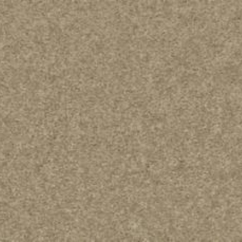 Hl029 - 786