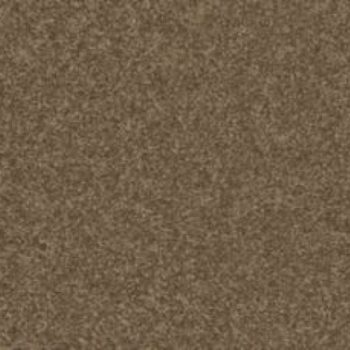 Exciting Selectionii - 857