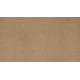Opulent Tradition - Acorn Cap Opulent Tradition - Acorn Cap