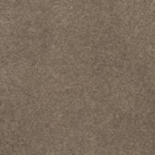 Soft Edition I - Perfect Taupe