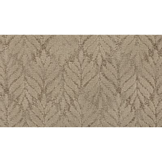 Dramatic Features - Ala Mode Dramatic Features - Ala Mode