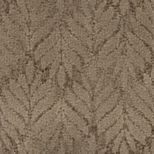Dramatic Features - Corkwood