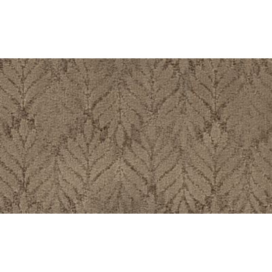 Dramatic Features - Corkwood Dramatic Features - Corkwood