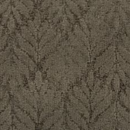 Dramatic Features - Taffeta