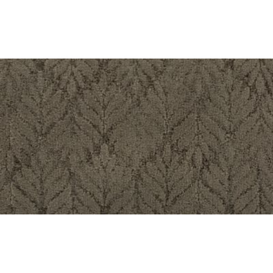 Dramatic Features - Taffeta Dramatic Features - Taffeta