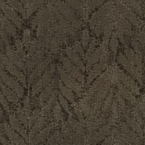 Dramatic Features - Branch