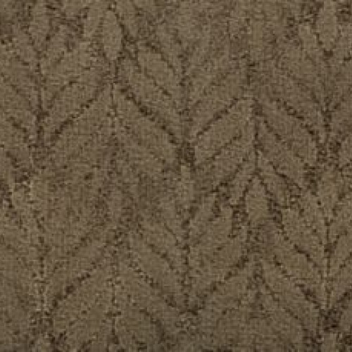 Dramatic Features - Classic Suede