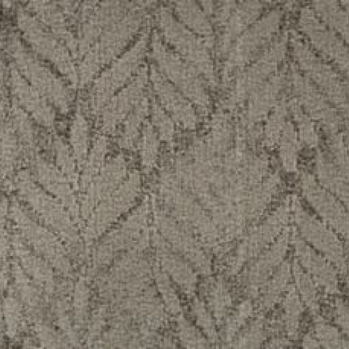 Dramatic Features - Jettystone