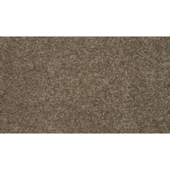 Bold Option - Dune Bold Option - Dune