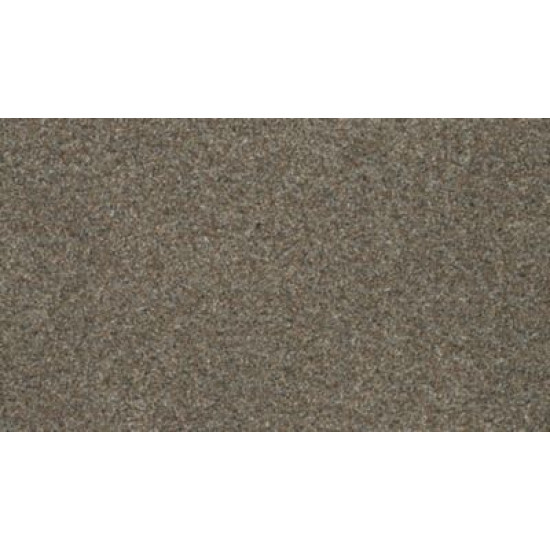 Bold Option - Radiance Bold Option - Radiance