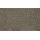 Bold Option - Radiance Bold Option - Radiance